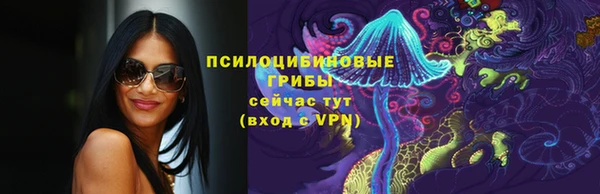 спайс Снежногорск