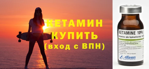 шишки Слюдянка
