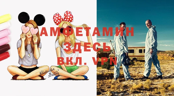 шишки Слюдянка
