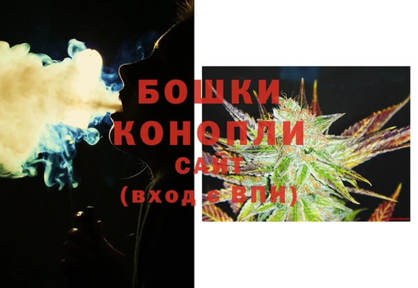 спайс Снежногорск