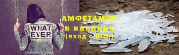 шишки Слюдянка