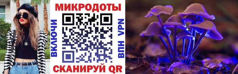 Галлюциногенные грибы мицелий  купить закладку  кракен онион  Санкт-Петербург 
